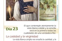 Mes-mayo-dia-23-2018
