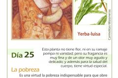 Mes-mayo-dia-25-2018