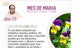 Mes-de-Maria-dia-12