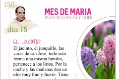Mes-de-Maria-dia-15