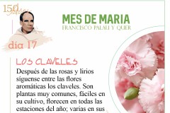 Mes-de-Maria-dia-17