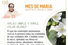 Mes-de-Maria-dia-23