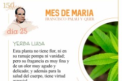 Mes-de-Maria-dia-25