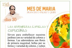 Mes-de-Maria-dia-30