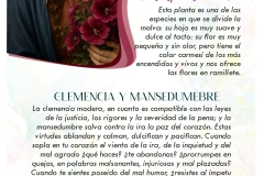 MES-MAYO-dia-27